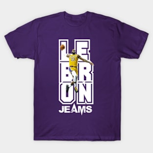 LeBron james T-Shirt